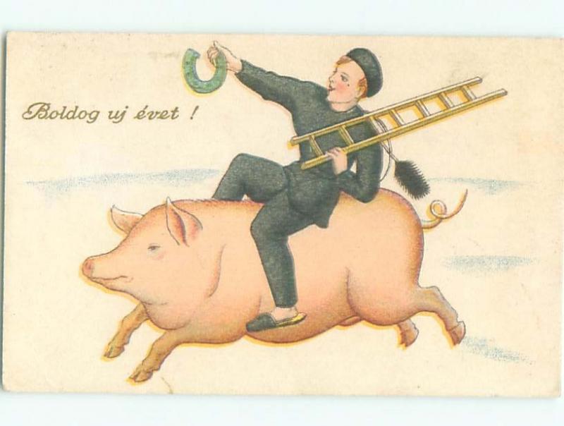foreign c1910 Postcard MAN RIDING ON PIG AC3846
