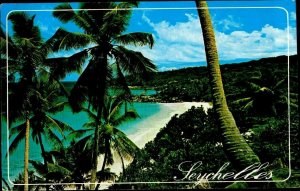 CE0699 seychelles the dam petit anse palmtrees indian ocean beach