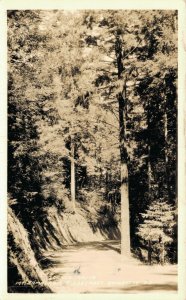 USA Mount Tamalpais Ridgecrest Boulevard California Vintage RPPC 02.96