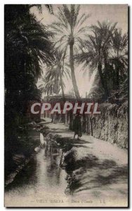 Old Postcard Biskra In Oasis