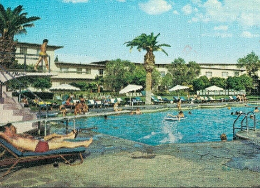 1950s Las Vegas Nevada Enchanting Pool Flamingo Hotel Colorpicture