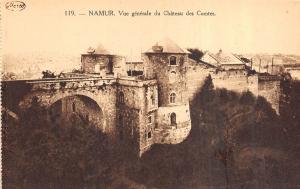Br35851 Namur Vue generale du Chateau des Comtes belgium