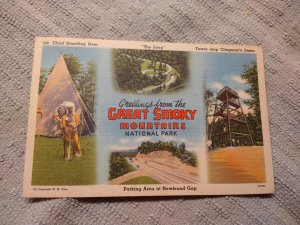 1940's Greetings from the Great Smoky Mountains National Park Large Lett...