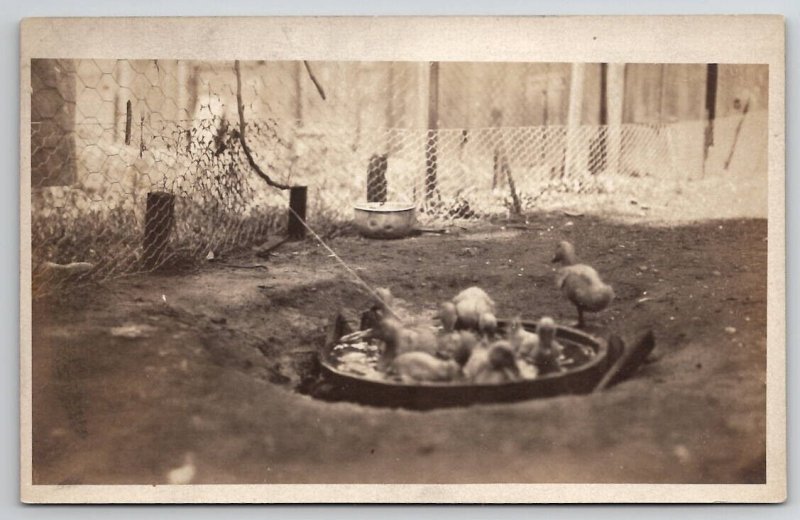 RPPC Sweet Little Ducks In Backyard Pool c1920 Real Photo Postcard R25