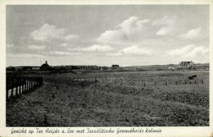 netherlands, TER HEIJDE a. ZEE, Israeli Health Colony (1920s) Judaica Postcard