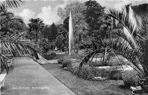 BG15515 bad pyrmont palmengarten   germany CPSM 14x9cm