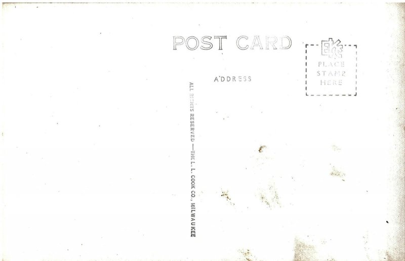 VINTAGE POSTCARD TULIP HARVESTING TIME HOLLAND MICHIGAN REAL PHOTO CARD c. 1940