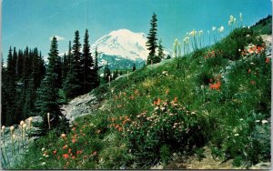 Mt Rainier Dewey Lake Trail Washington WA Postcard VTG UNP Plastichrome Vintage 