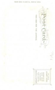 Blue birds drinking Beer from Keg , glitter