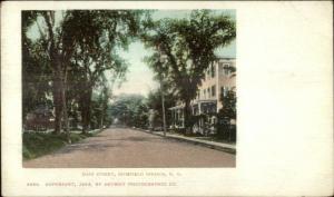 Richfield Springs NY Main St. c1905 Detroit Publishing Postcard