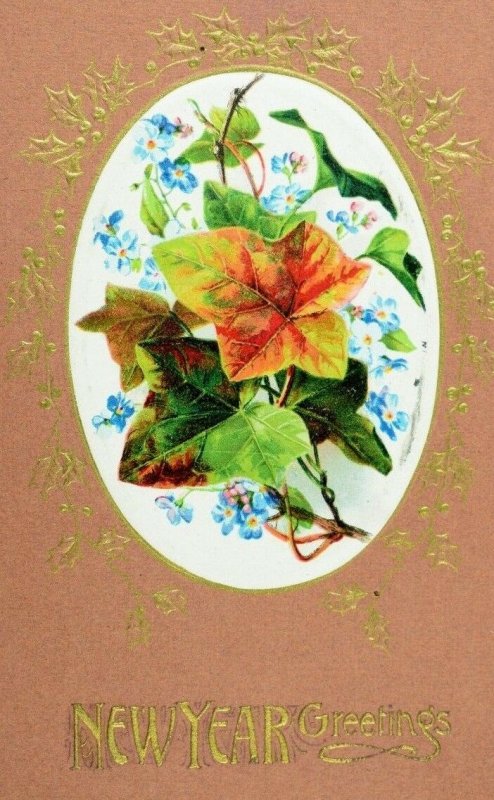 Circa 1910 Winsch Back Lovely Blue Flowers Fall Leaves New Years Postcard P36