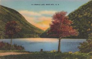 Profile Lake - White Mountains NH, New Hampshire - Linen