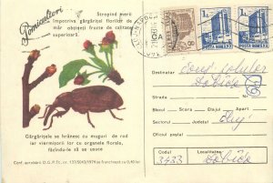 Romania postal stationery postcard tree growers add