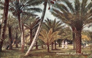 Tuck Hawaii No. 2713 Honolulu Kapiolani Park c1910 Vintage Postcard