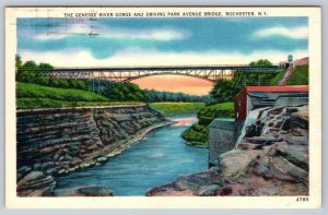 Driving Park Avenue Bridge, Genesee Gorge, Rochester NY, 1954 Linen Postcard