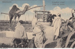 MAZAGAN, Morocco, 1900-1910's; Puits de jardin , Irrigation wheel