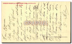 Old Postcard Maternity The Mysterious Nature Sheep