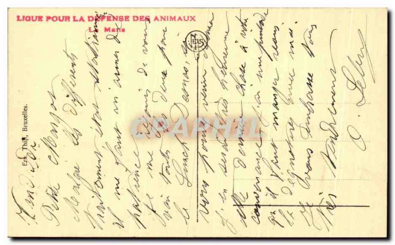 Old Postcard Maternity The Mysterious Nature Sheep