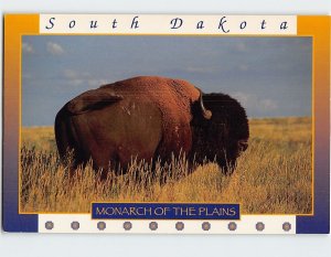 Postcard Monarch Of The Plains, South Dakota