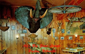 Nebraska Paxton Ole's Big Game Lounge Interior View Large Elephant Trophy