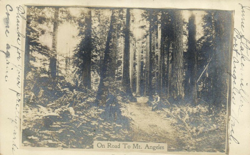 PC CPA US, WASH. TOAD TO MT. ANGELES, Vintage REAL PHOTO Postcard (b17140)