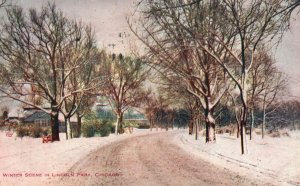 Winter Scene Lincoln Park Recreational Area Chicago ILL Vintage Postcard c1910