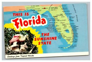 Vintage 1973 Postcard Topical Map of Florida The Sunshine State Tropical Florida