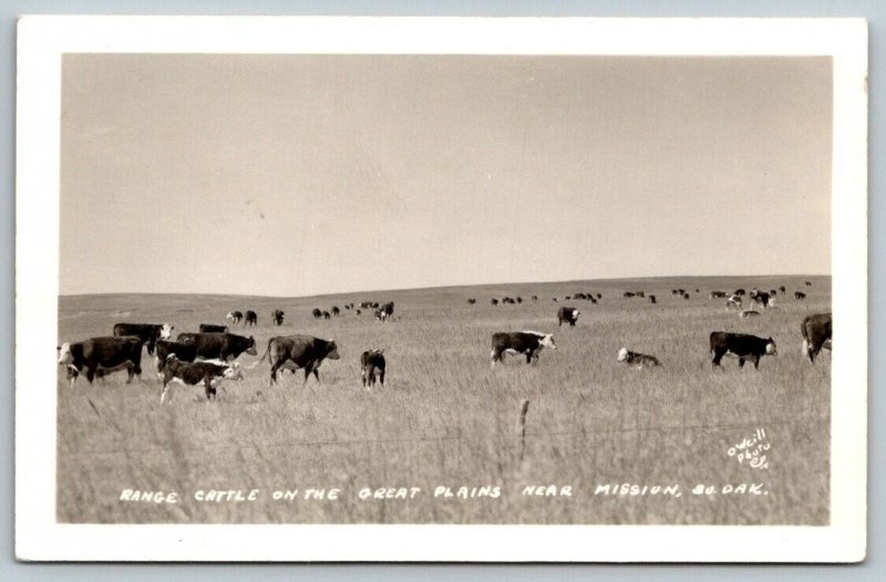 RPPC Range Cattle on the Great Plains   Mission  South Dakota  Postcard