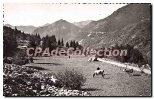 Old Postcard Switzerland Nicoise St Martin Vesubie La Route du Boreon