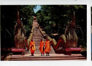 3109156 THAILAND CHIENGMAI Province Dragon staircase Old PC