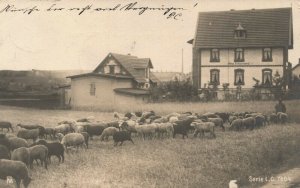 South Africa Hotel Krugersdorp Vintage RPPC 03.80