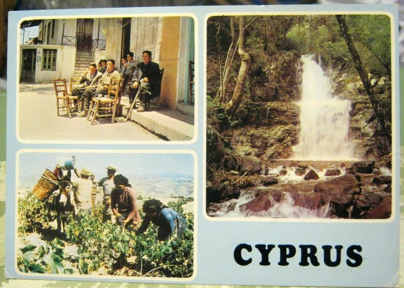 Cyprus Messopotamos Falls Panayia Paphos Grape Harvesting - posted