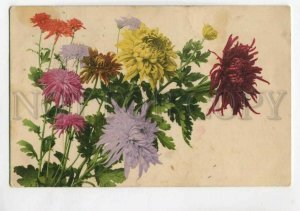 3107634 ASTER Flowers Bouquet Vintage Rommel & Co Photo RPPC