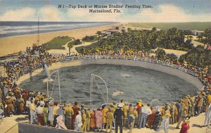 Top Deck Crowd at Marine Studios - Marineland, Florida FL  