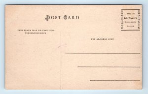 CAMP POINT, IL Illinois ~ Tree Lined OHIO STREET ~ c1910s Adams County Postcard