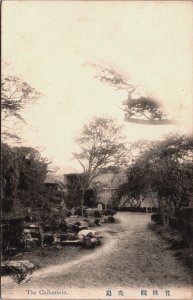 Japan The Chikurin In, Chikurin-in Temple Nara Vintage Postcard C191