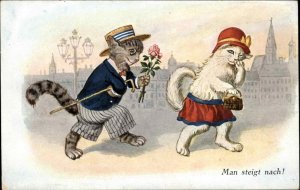 Fantasy Dressed Kitty Cat Romance Courting SWSB 8063 c1910 Postcard