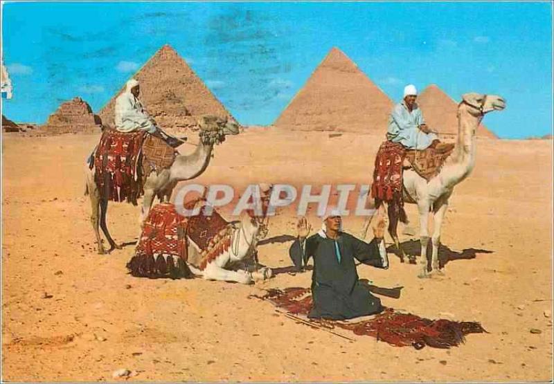 CPM Giza Arab Camelriders in front of the Pyramid