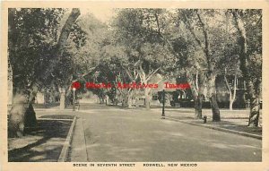 NM, Roswell, New Mexico, Seventh Street, Residential Section, Albertype