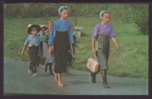 Amish Children Postcard