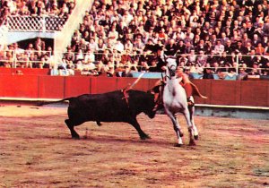 El Toro   Bull Fight 