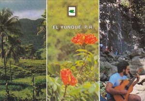 Puerto Rico El Yunque Rain Forest