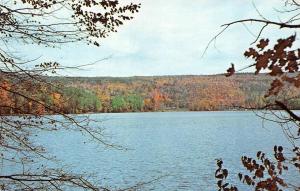 LUDLOW, VT Vermont  LAKE RESCUE~Aerial View  WINDSOR COUNTY  Chrome Postcard