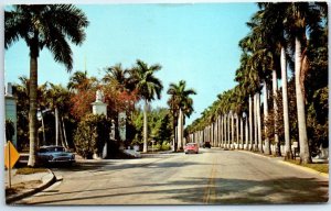 M-42309 Stately Royal Palms Planted by Edison In 1900 Myers Beach Fort Myers ...