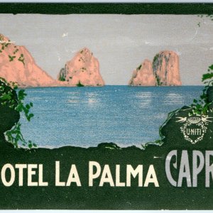 c1920s-30s Capri, Italy Luggage Label Hotel La Palma Uniti Decal Vtg Paper C41