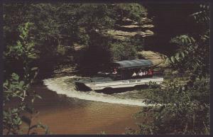 Duck,Dell Creek,Wisconsin Dells,WI Postcard