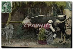 Postcard Old Cow Cows At & # 39etable