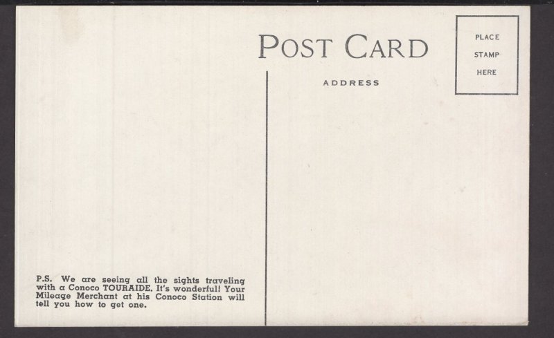 Virginia ~ Skyline Drive, Shenandoah National Park ~ DB