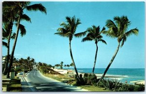 Postcard - View Of Beach As Seen From Ocean Boulevard - Palm Beach, Florida