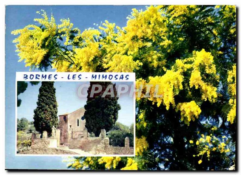 Modern Postcard The French Riviera Bormes les Mimosas